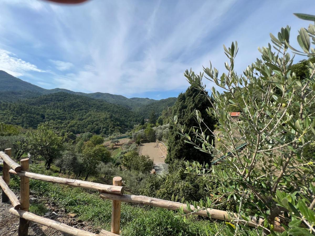 Agriturismo Torsivi Castiglione Chiavarese Bagian luar foto