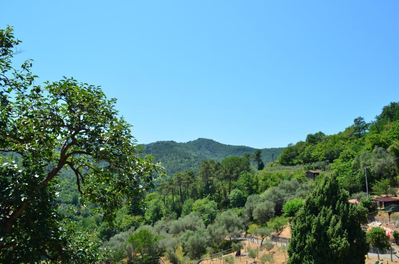 Agriturismo Torsivi Castiglione Chiavarese Bagian luar foto