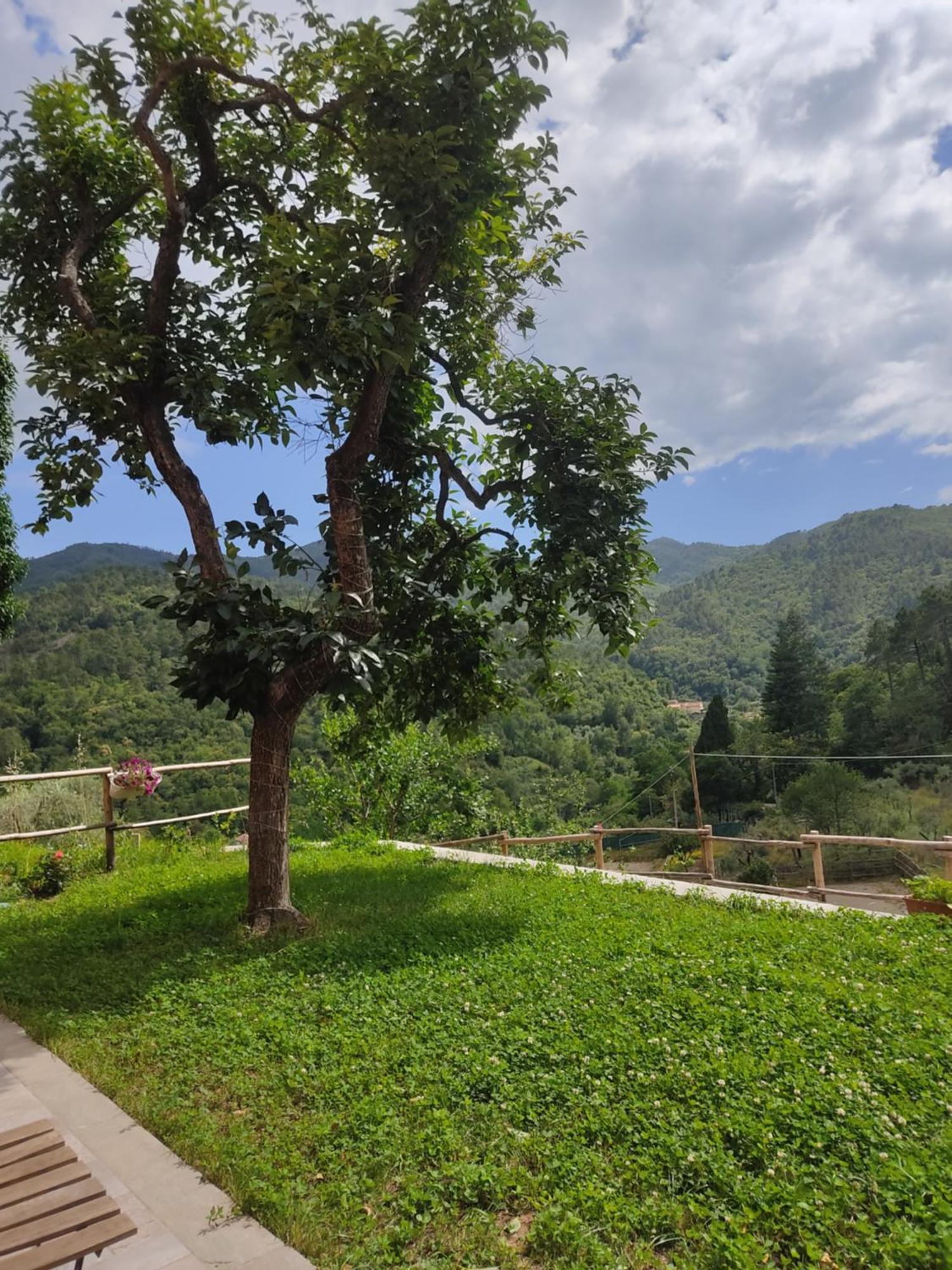 Agriturismo Torsivi Castiglione Chiavarese Bagian luar foto